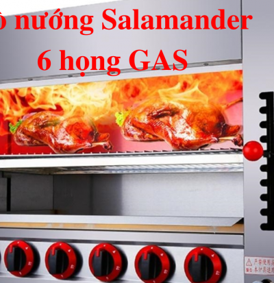 lo nuong salamander 6 hong gas